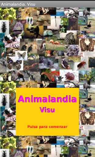 Animalandia Visu 1