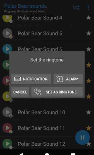 Appp.io - sonidos del oso polar 4