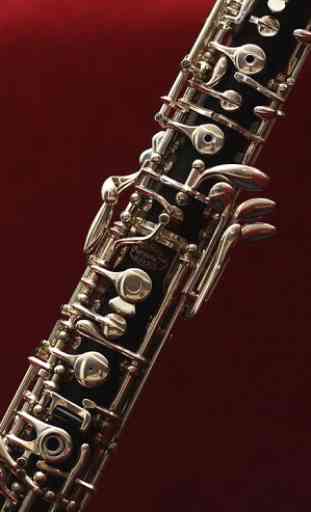 Aprender a tocar el oboe 4