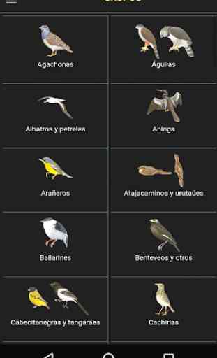 Aves argentinas 4