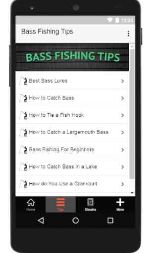 Bass Fishing Tips 2
