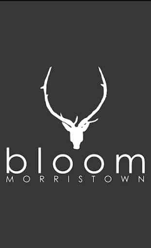 Bloom Morristown 1