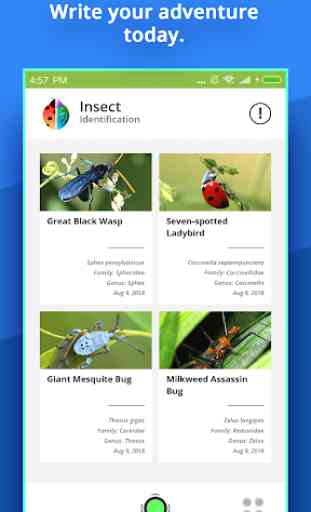 Insect Identifier 3