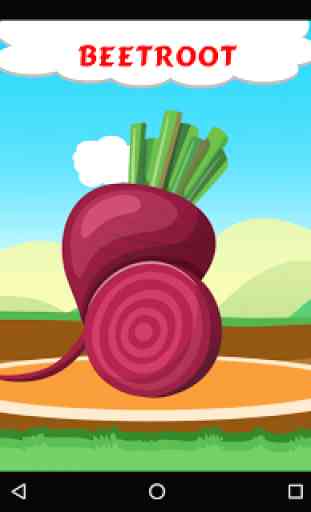 Learn About Vegetables 3