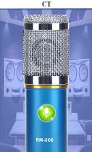 Mic Microphone 1