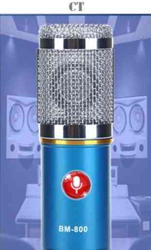 Mic Microphone 2
