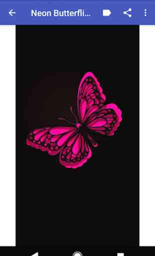 Neon Butterflies Wallpapers 4