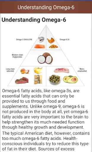 Omega 3 & Omega 6 Dietary Fat Foods Sources Guide 3