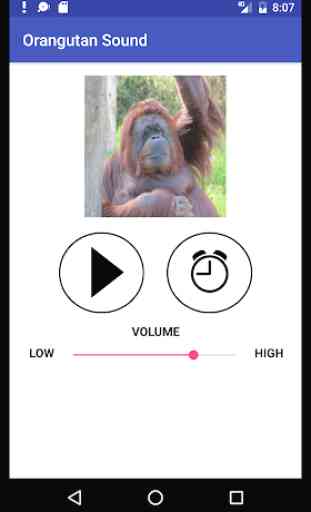 Orangutan Sound 1