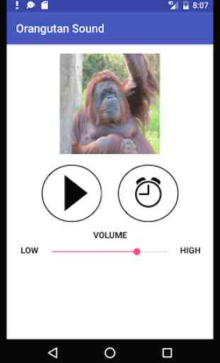 Orangutan Sound 2