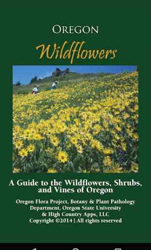 Oregon Wildflowers 1