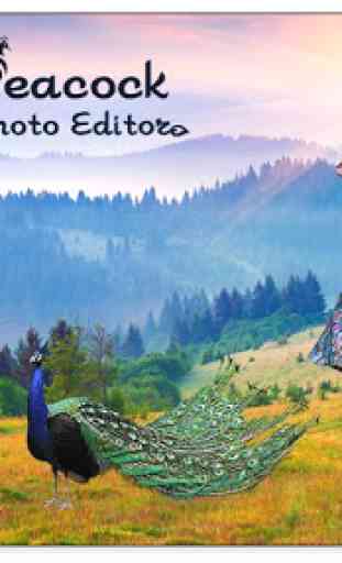 Peacock Photo Editor 2019 4