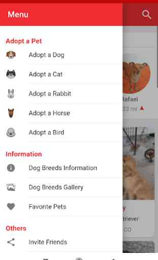Pets Adoption: Adopt Dog, Cat and Other Pets 3