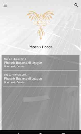 Phoenix Hoops 1