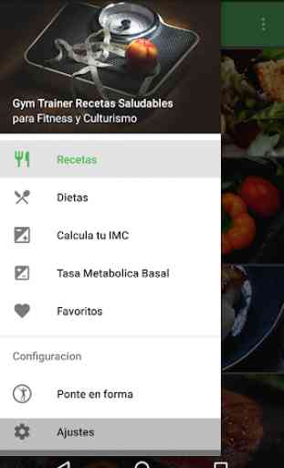 Recetas Saludables Fitness 2
