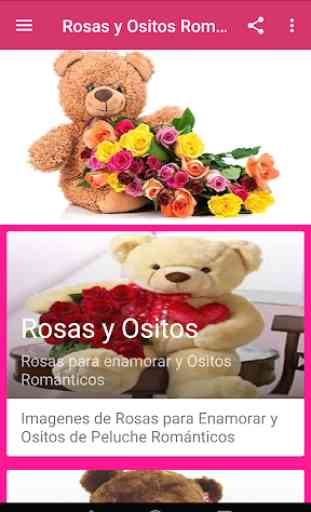 Rosas y Ositos Románticos 3
