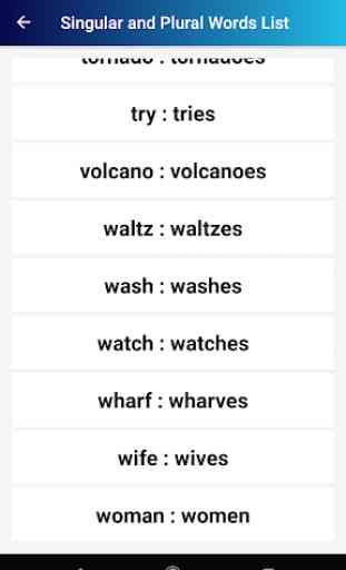 Singular and Plural Words List 4