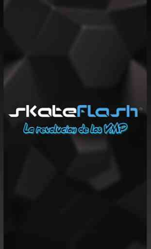 Skate Flash 1