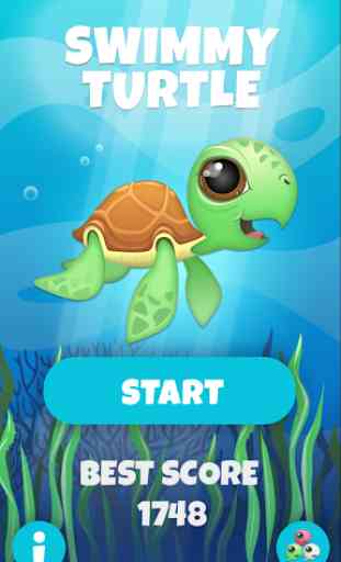Swimmy Turtle 1