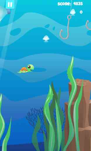 Swimmy Turtle 4
