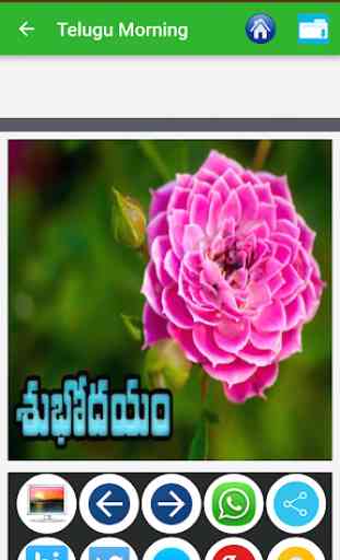 Telugu Good Morning Images, Good Night Images 2