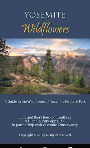 Yosemite Wildflowers 1