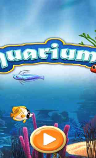 Aquarium fish 2
