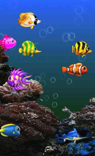Aquarium fish 3