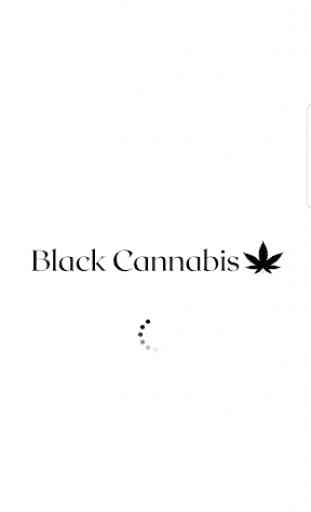 Black Cannabis 1