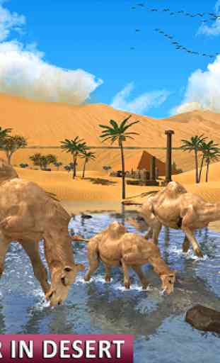 Camel Family Life Simulator 2
