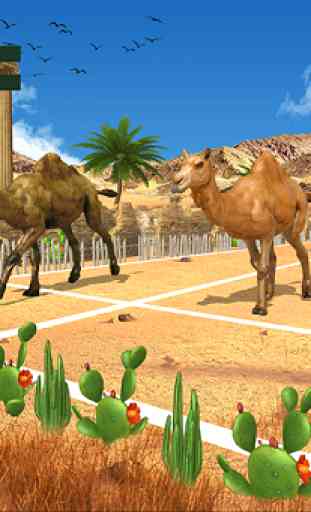 Camel Family Life Simulator 3