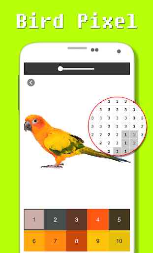 Color del pájaro por número - Pixel Art 1