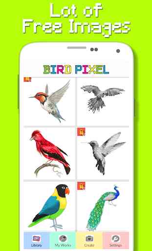 Color del pájaro por número - Pixel Art 2