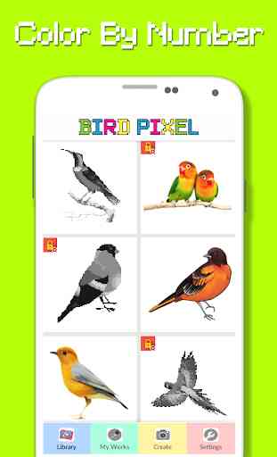 Color del pájaro por número - Pixel Art 4