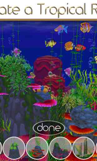 Coral Reef Fish Aquarium Sim 1