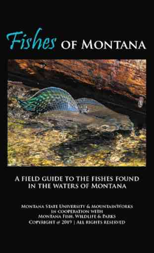 Fishes of Montana 1