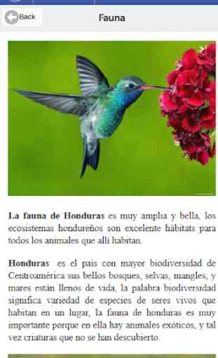 Guía LandsCare de Honduras 4