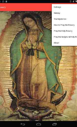 Holy Rosary of the Virgin Mary 2