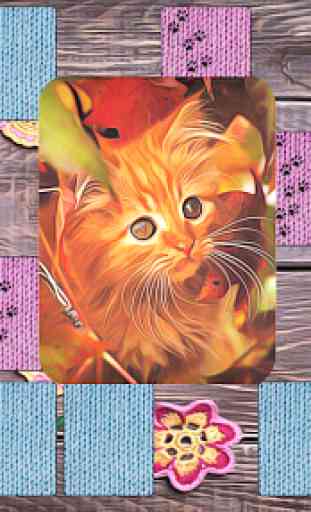 Kitty cat cards mahjong 4