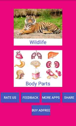 Learn Tamil Wildlife and Body Parts Names 1
