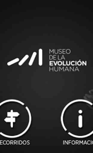 Museo de la Evolución Humana 1