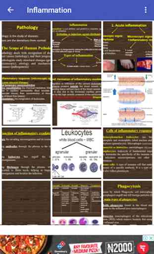 Parasitology and pathology 1
