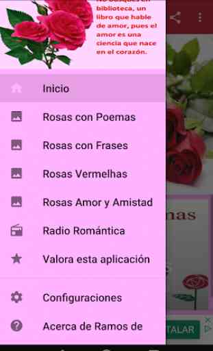 Ramos de Rosas con Poemas 1