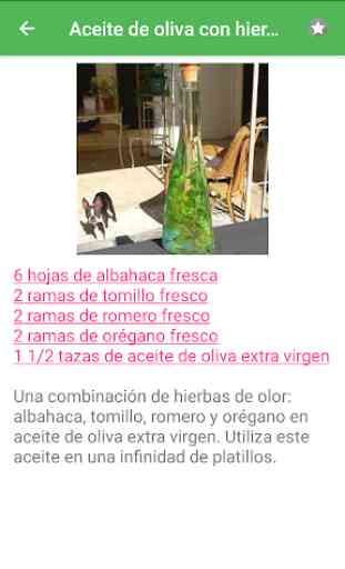 Recetas de hierbas y especias en español gratis. 2