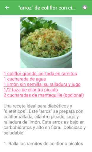 Recetas para diabéticos en español gratis. 2