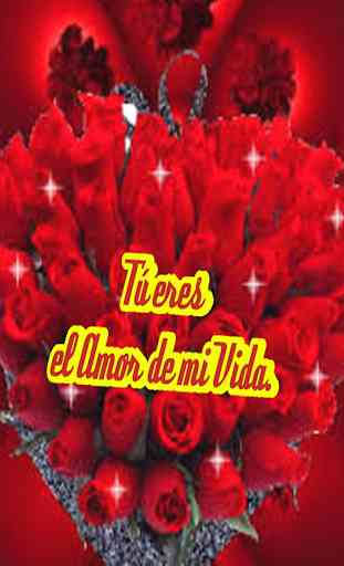 rosas de amor frases de amor con rosas-rosas rojas 1