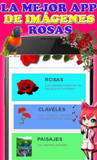 Rosas y Flores de Colores para Enamorar 1