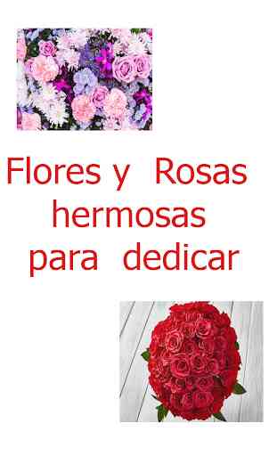 Rosas y Flores Naturales y Hermosas Gratis HD 2