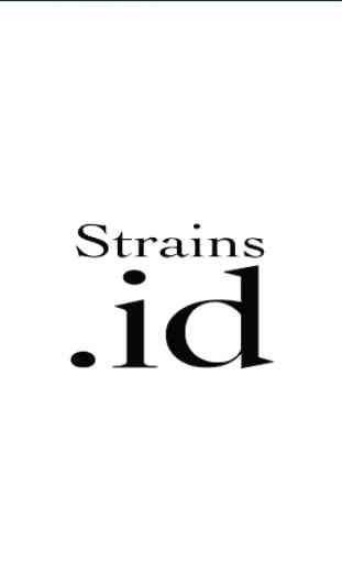 Strains.id 1