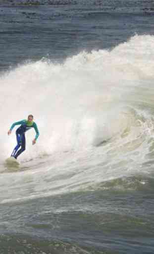Surfing fondos de pantalla 2